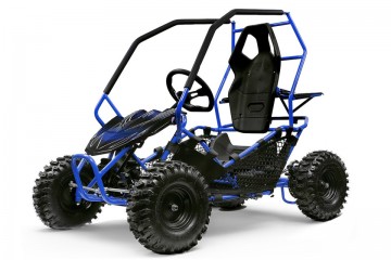 Eco Buggy 1000W GOKART Crosser 6