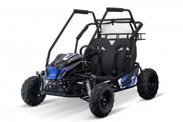 Buggy 212CC Gokart Forest PRM 7