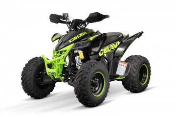 Kinderquad 250cc Celavi Semi 