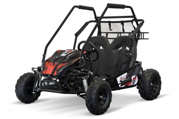 Eco Buggy 2000W Gokart PRM 60V/20Ah 